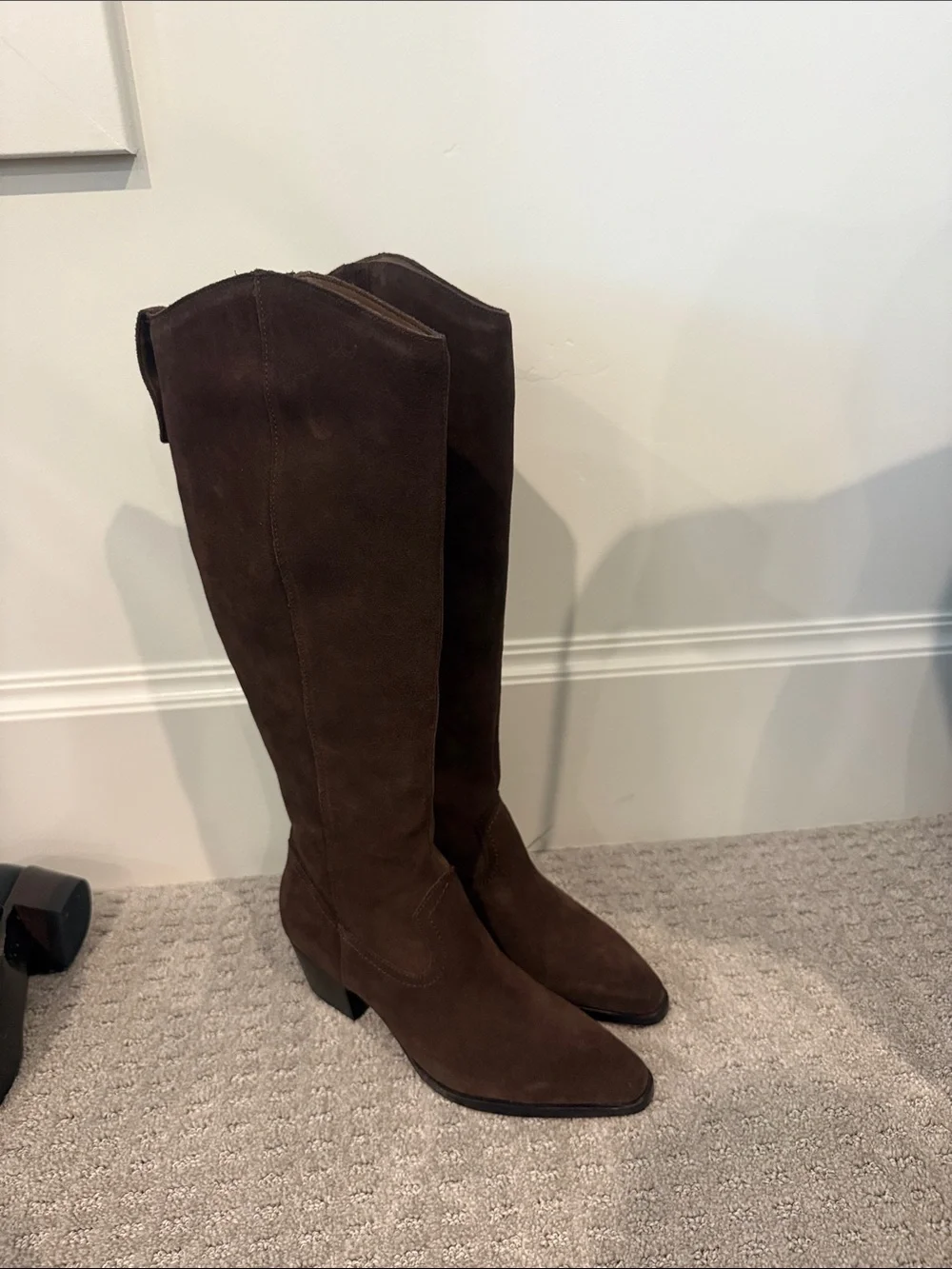 Dolce Vita Dark Brown Suede Over-the-Knee Boots